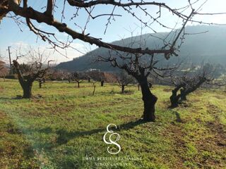  Terrain  vendre 2215 m