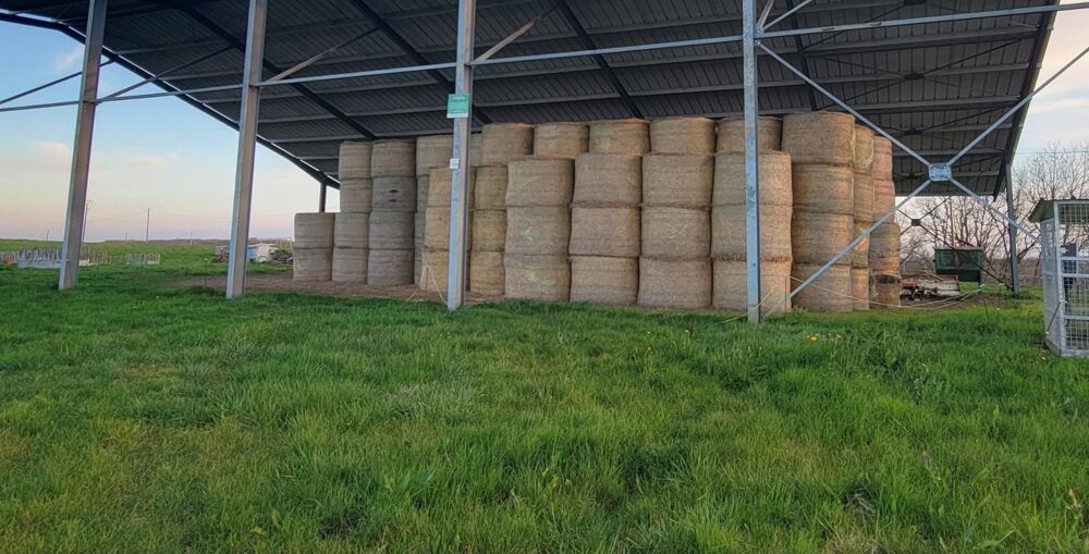 Vente Terrain Exploitation agricole 18 ha stabulation de 1247 m² Sauvagnas