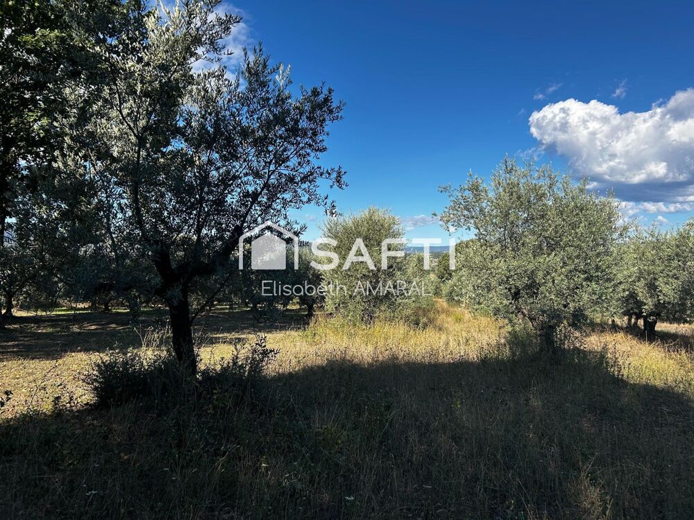 Vente Terrain À Oraison, laissez-vous séduire par cette oliveraie et sa magnifique vue sur la vallée de la Durance Oraison