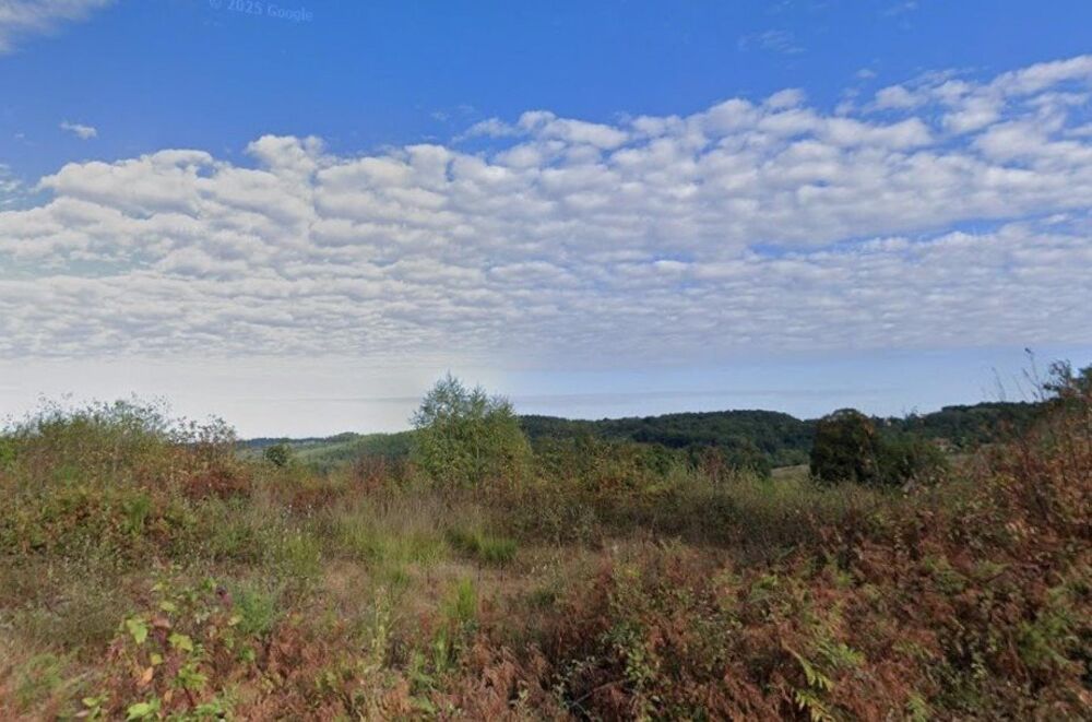 Vente Terrain magnifique terrain constructible avec vue Sarlat-la-caneda