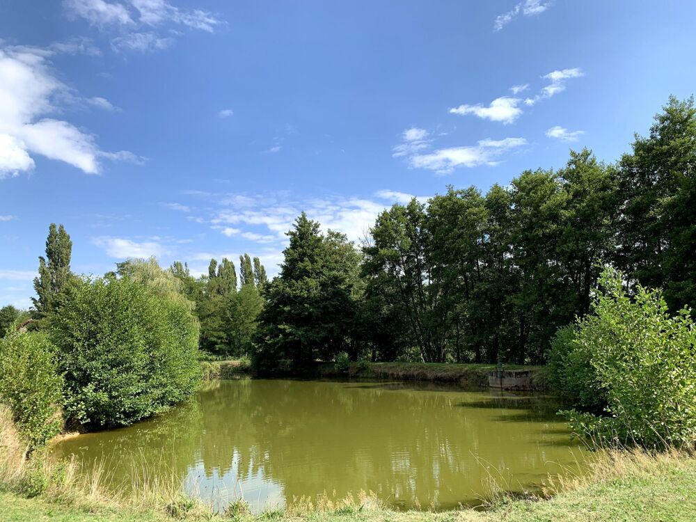 Vente Maison Magnifique ferme Bressane avec étang Thurey
