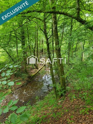  Terrain � vendre 4217 m�