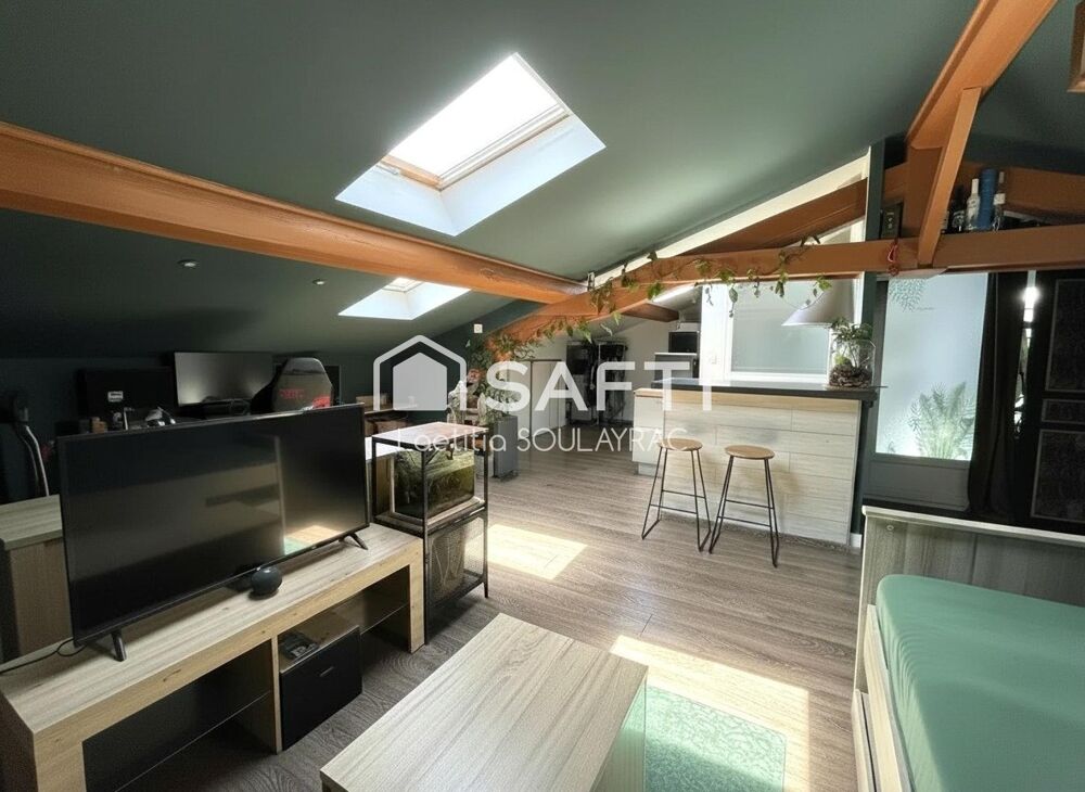 Vente Appartement Bel appartement en centre ville, avec cave et jardin. Castres