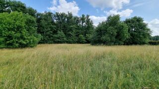  Terrain à vendre 886 m²