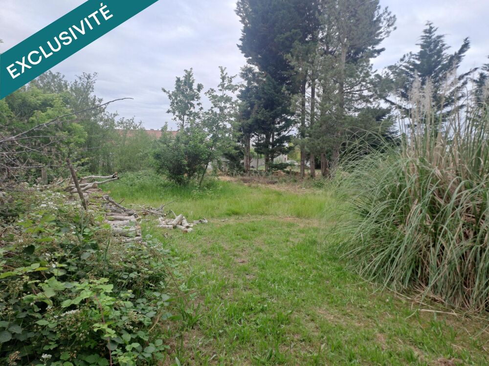 Vente Terrain Terrain constructible 1000 m² au calme - Fronton Fronton