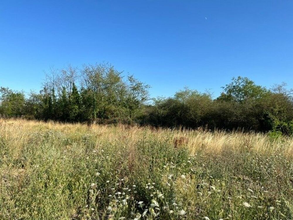 Vente Terrain CERNAY – Terrain viabilisé de 559 m² dans un nouveau lotissement Cernay