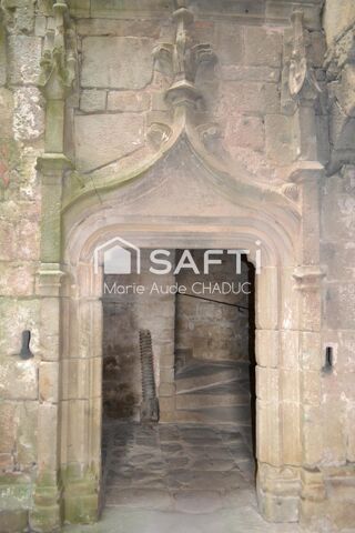  Propri�t�/ch�teau � vendre 15 + pi�ces 800 m�