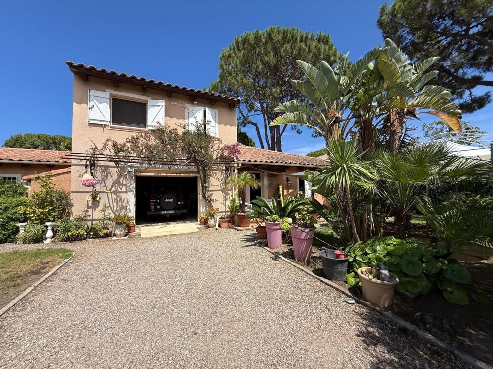 à vendre  Maison Borgo (20290)