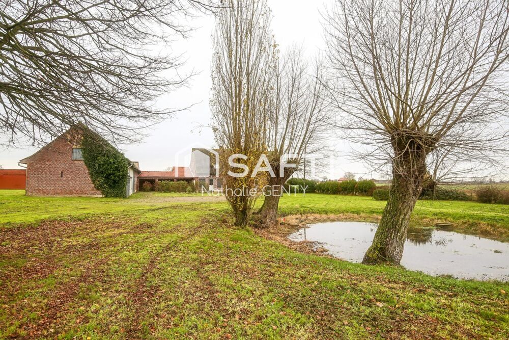 Vente Maison ANCIEN CORPS DE FERME AVEC CHAMBRES D'HÔTES ET DÉPENDANCES SUR UNE PARCELLE DE 8000 M2 À STEENVOORDE Steenvoorde
