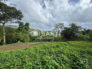  Terrain  vendre 2479 m