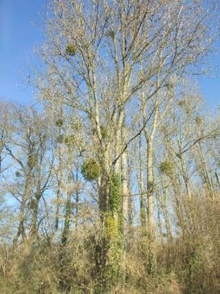  Terrain � vendre 5805 m�