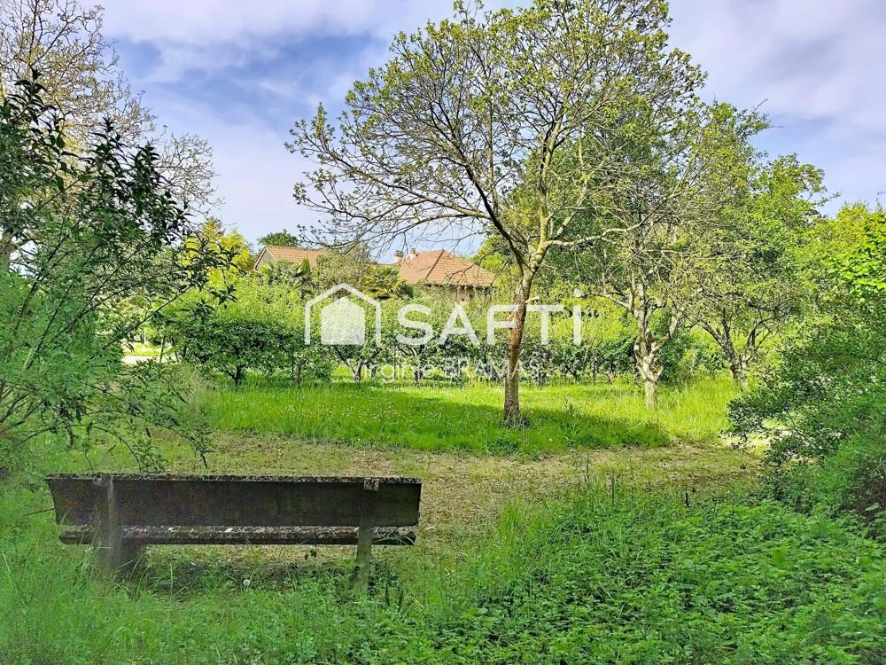 Vente Maison Maison avec sous-sol complet et grand terrain arboré Creches-sur-saone