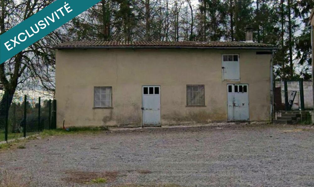 Vente Immeuble spécial investisseur. Willerwald