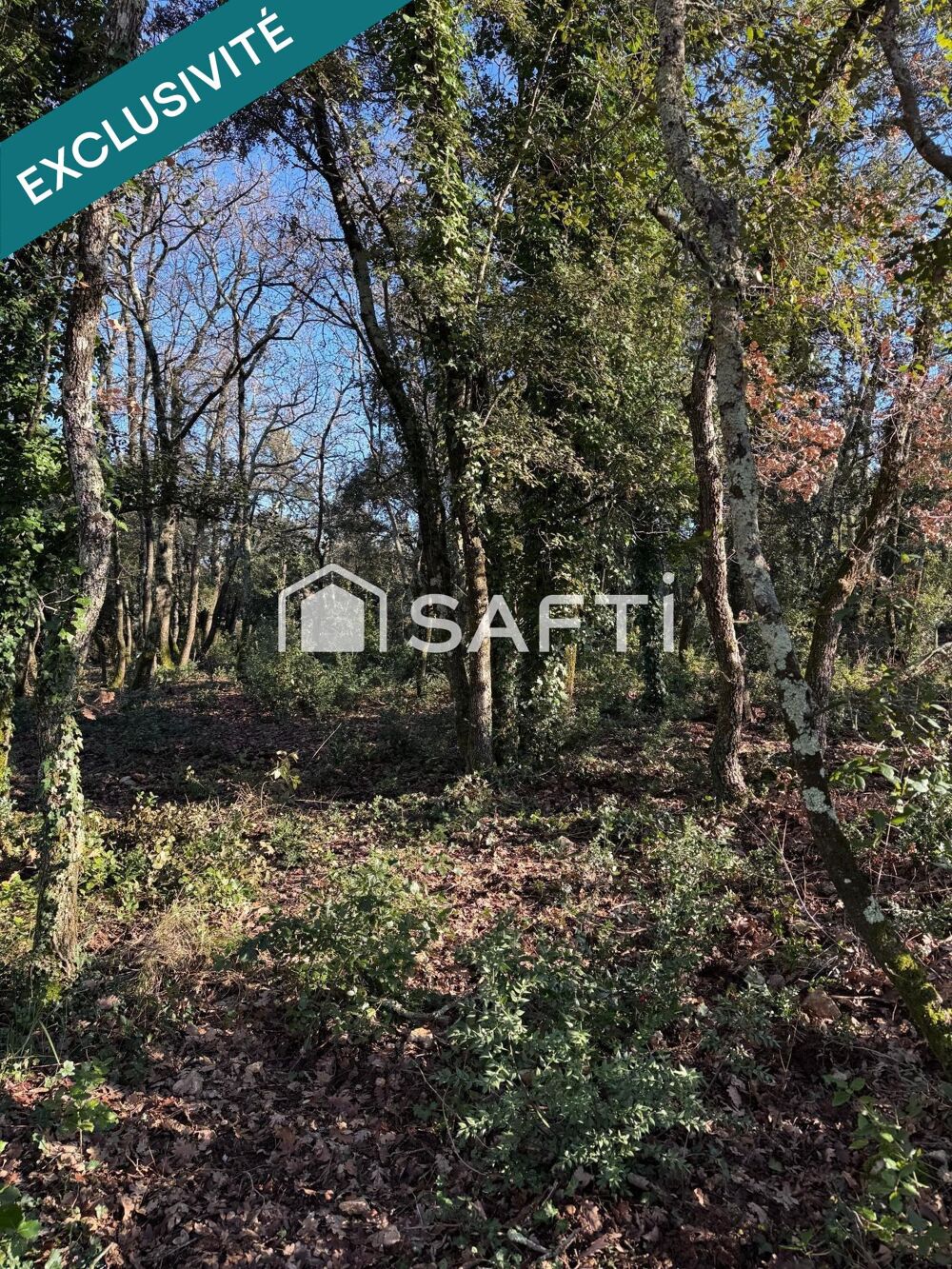 Vente Terrain Terrain arboré et viabilisé Labastide-de-virac