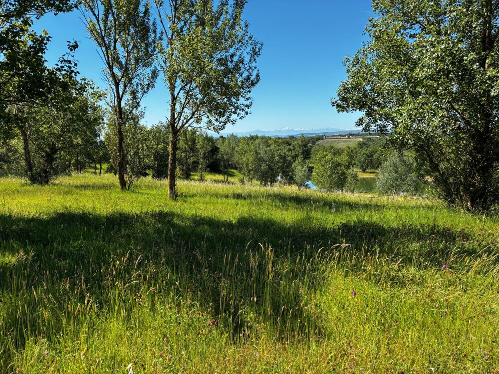 Vente Terrain Magnifique vue au calme Saint-papoul