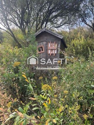  Terrain à vendre 31000 m²