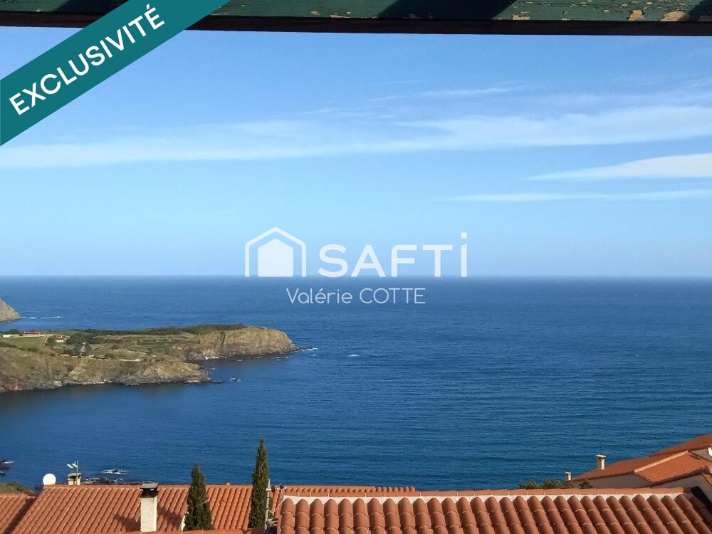 Vente Appartement LA VUE SUR LA GRANDE BLEUE...SPACIEUX.....CHALEUREUX Cerbere