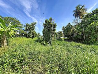  Terrain � vendre 1075 m�