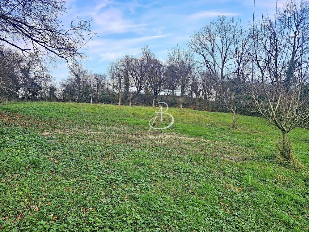 Vente Terrain Terrain constructible axe NANCY / EPINAL Gripport
