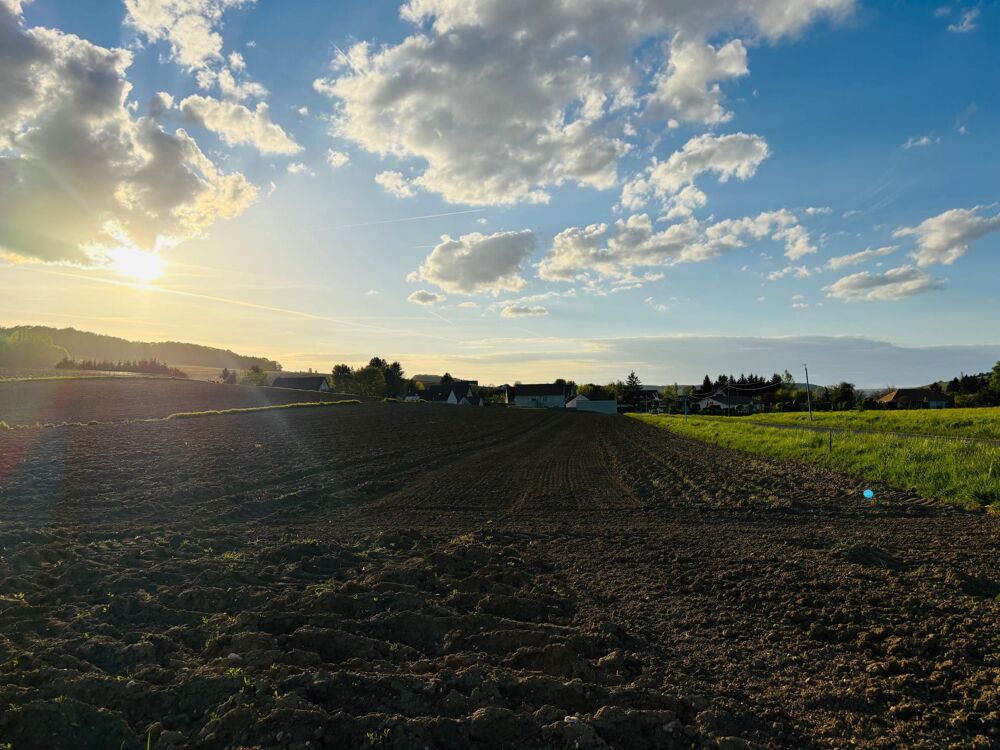 Vente Terrain Deux parcelles agricoles Grauves
