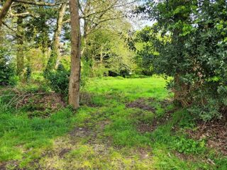  Terrain à vendre 1000 m²