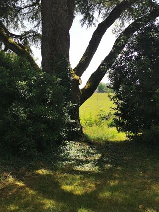  Maison � vendre 15 + pi�ces 536 m�