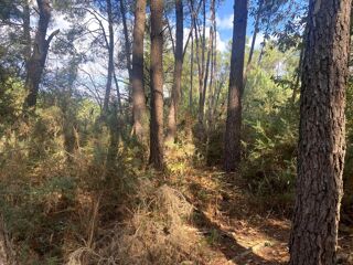  Terrain � vendre 2890 m�