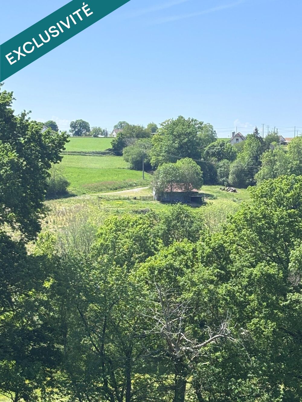 Vente Terrain Terre agricole idéal pour pension chevaux Saint-castin