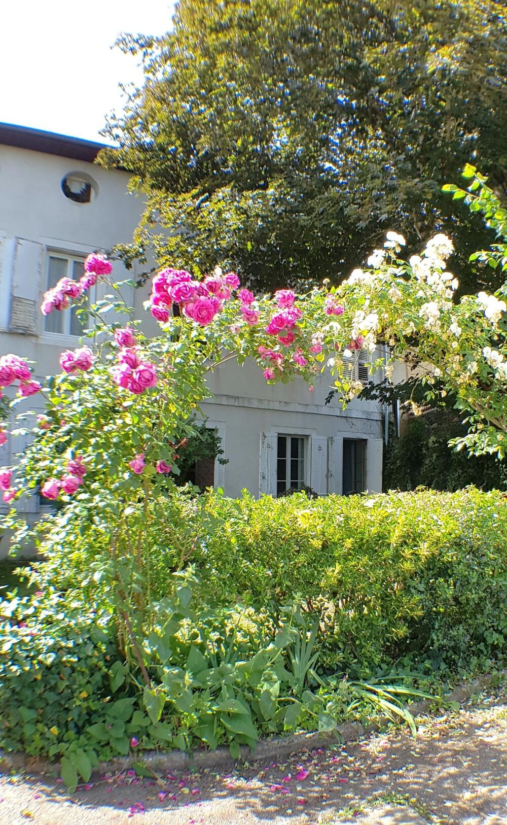 T2 de charme avec jardin et parking