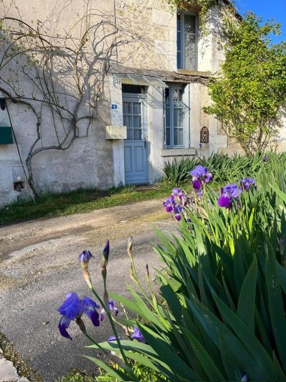 Vente Maison Véritable hâvre de paix en plein coeur de Montrésor Montresor