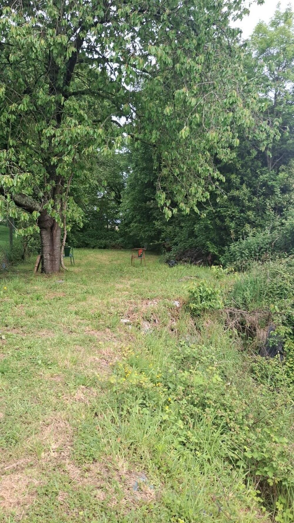 Vente Maison Belle longère en pierre  et terre rénovée, terrain arboré de 1086 m 2-  campagne de  Feins. Feins
