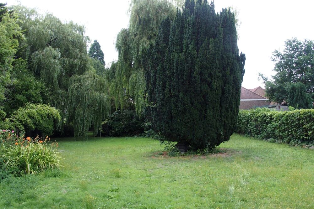 � vendre  Maison Sainghin-en-M�lantois (59262)