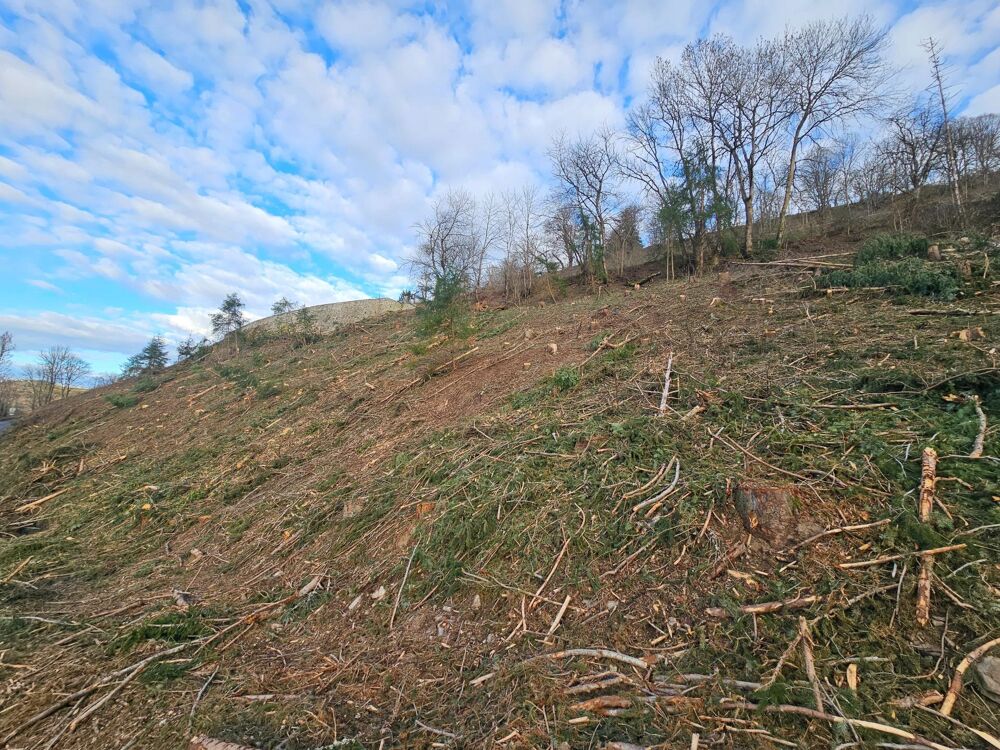 Vente Terrain Terrain Chaudes-Aigues (15110) Chaudes-aigues