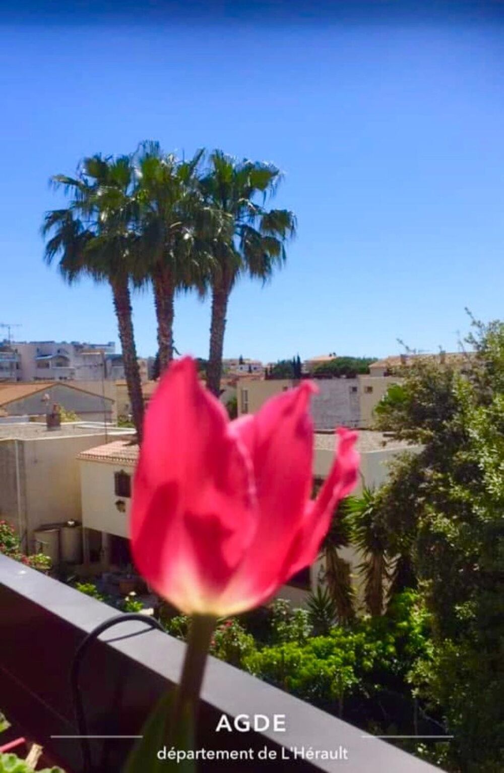 Vente Appartement SUPERBE APPARTEMENT A AGDE A DECOUVRIR SANS TARDER Agde