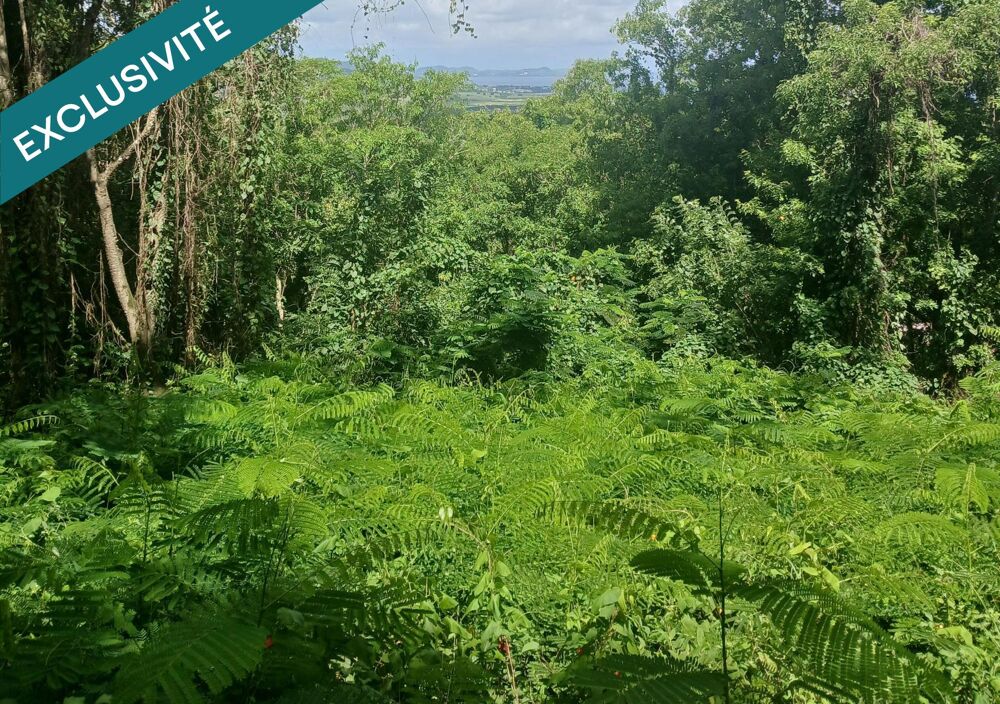 Vente Terrain TERRAIN RARE A VISITER Le diamant