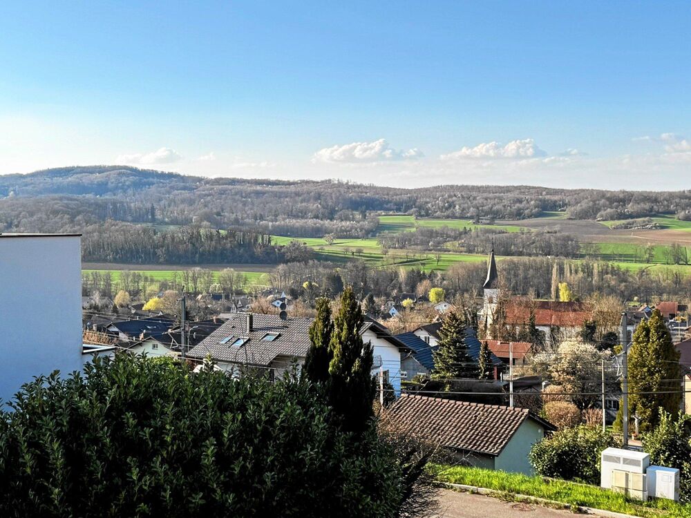 � vendre  Maison Leymen (68220)