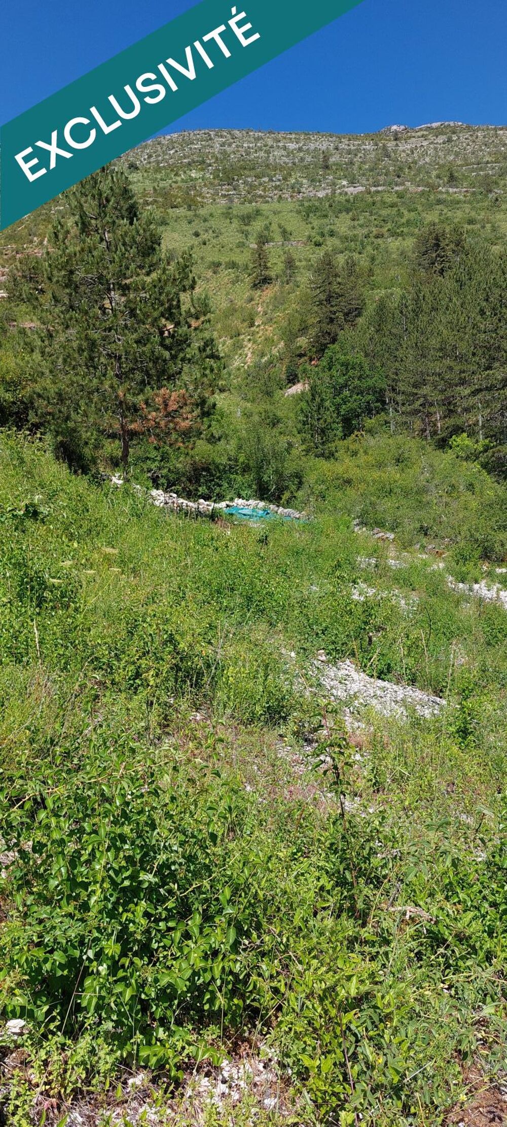 Vente Terrain -A VENDRE- PRADES 48210 St Enimie TERRAIN CONSTRUCTIBLE non viabilisé de 3265m2 108 000€ Gorges du tarn causses