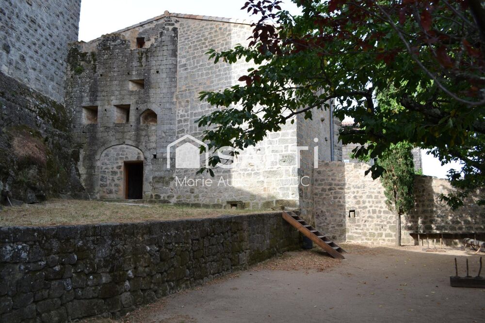 � vendre  Propri�t�/ch�teau Montr�al (07110)