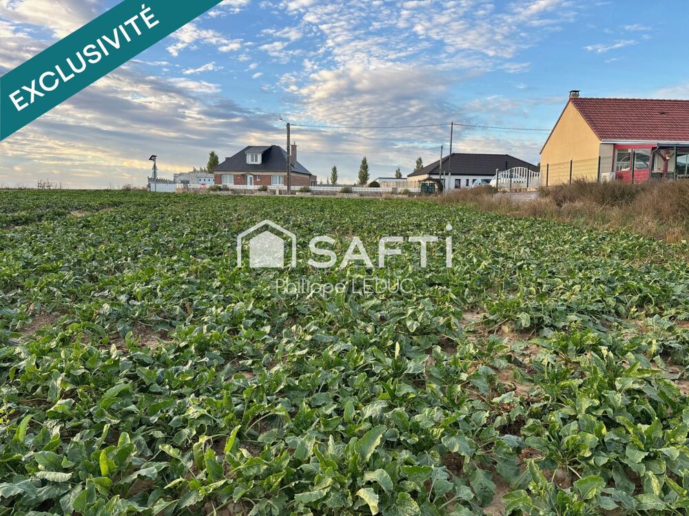 Vente Terrain Idéal pour votre future maison ! Wambaix