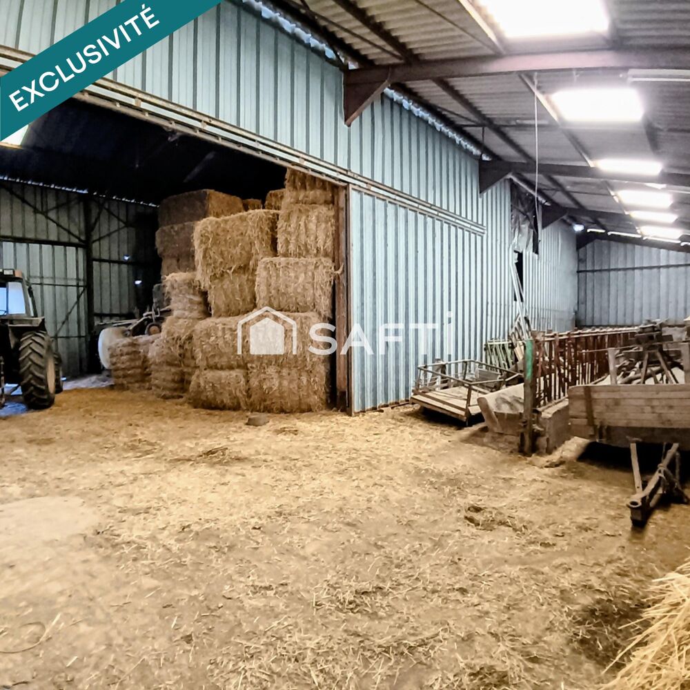 Ferme à rénover avec garage, hangar, et terrain.