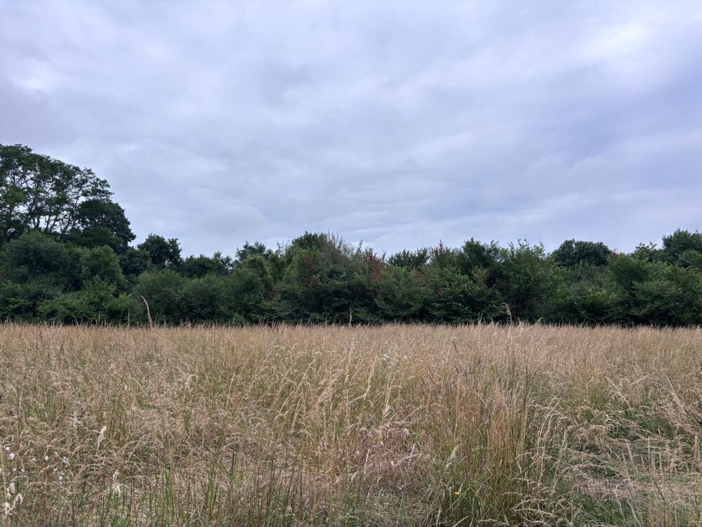 Saint-Michel-de-Castelnau  Maison à rénover avec grange et 1 hectare de terrain