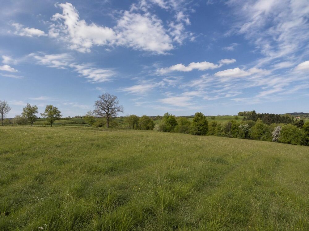 Corps de ferme en pierre  4,28 Ha  Rieupeyroux