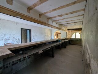 Vente Maison Ensemble de caractère à fort potentiel - Bâti historique de plus de 400m2 sur terrain de 2160m2. Neuvic