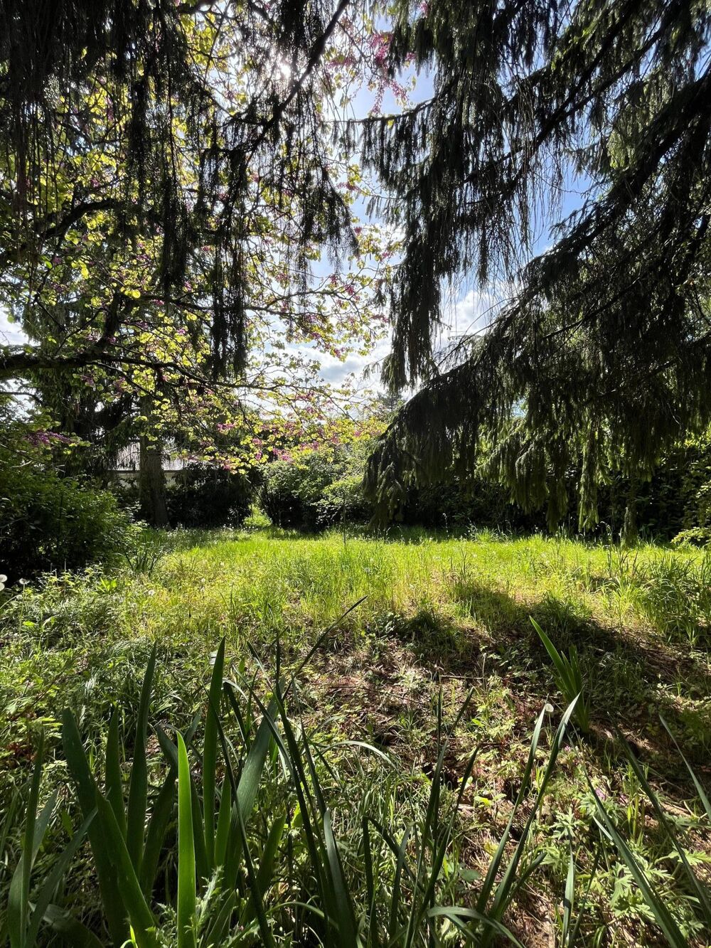 Vente Terrain TERRAIN A VENDRE, dans le bourg de Savenay Savenay
