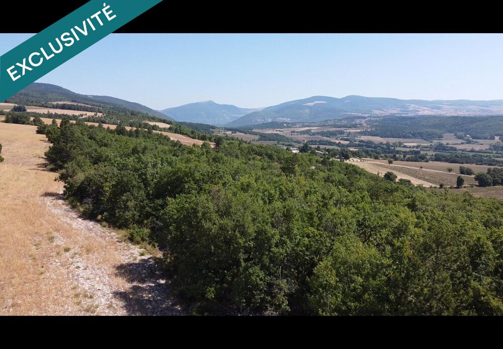 Vente Terrain Forêt labellisée ECOCERT avec plan de gestion simple Sault