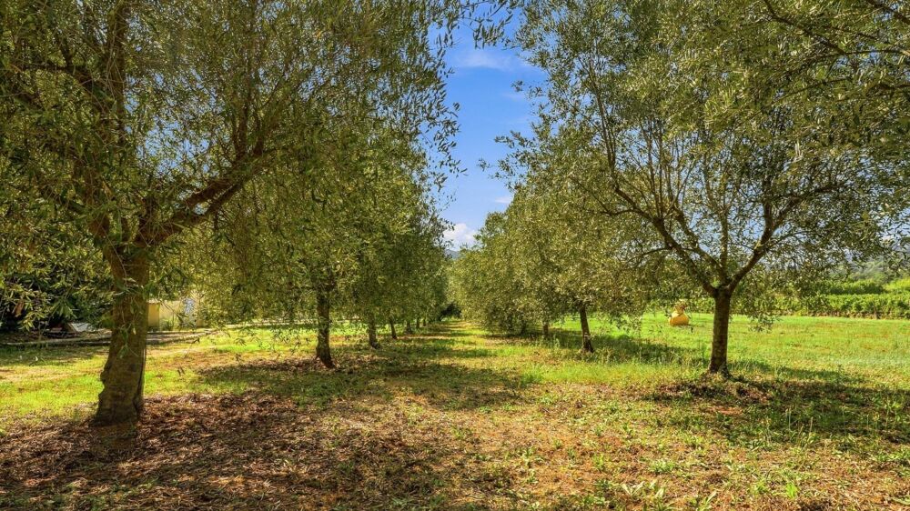 Grande propriété avec piscine au coeur de la nature