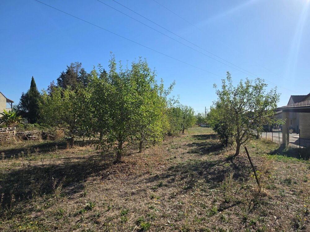 Vente Terrain Terrain constructible arboré de 2 248 m² Sennecey-le-grand