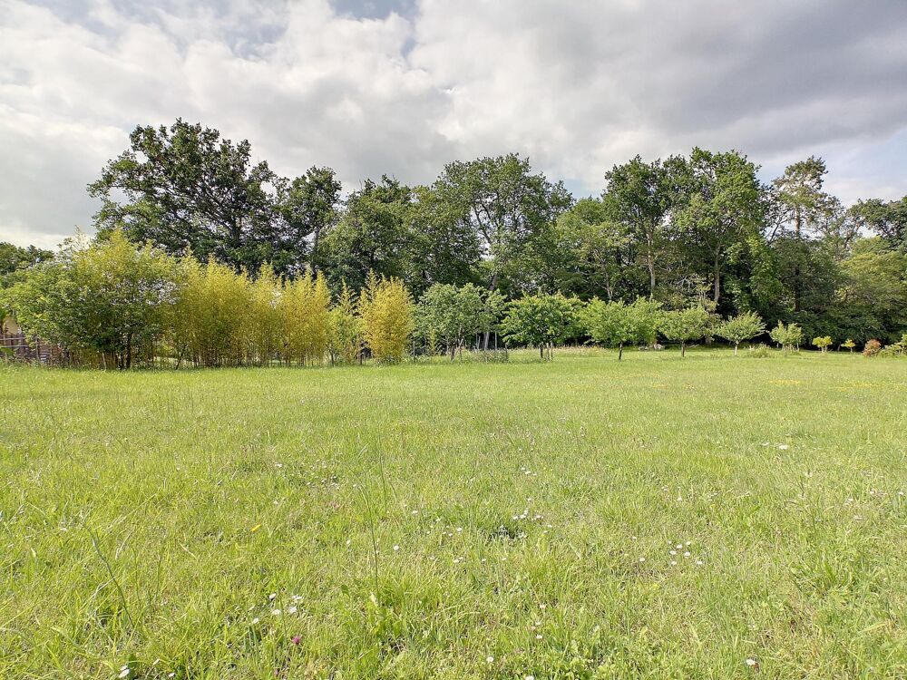 Vente Terrain Grand terrain constructible viabilisé Fargues-saint-hilaire