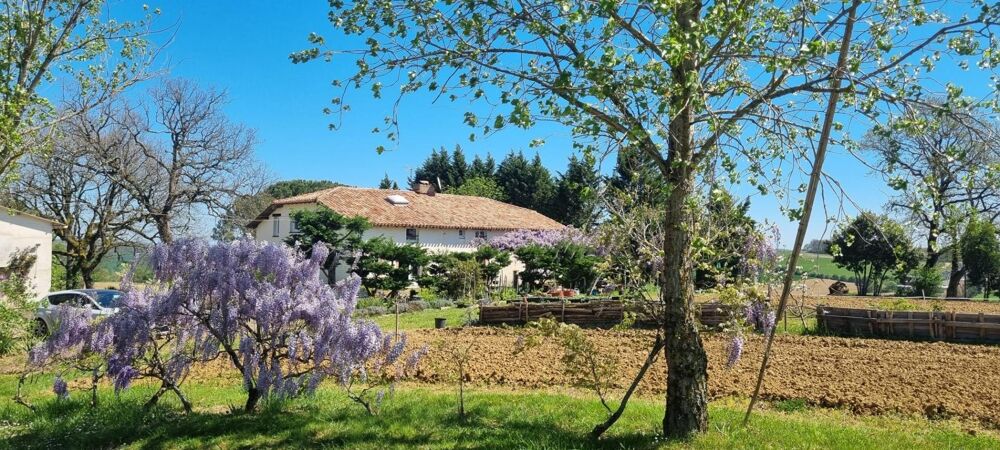 Vente Maison Ancienne maison d'hôtes à LAVIT Lavit