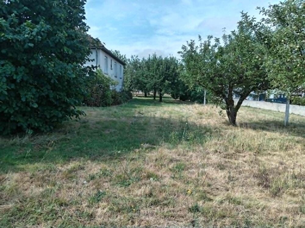 Vente Maison Cette maison est idéale pour ceux qui recherche a faire de la location saisonnière tout en étant sur place Ourouer-les-bourdelins